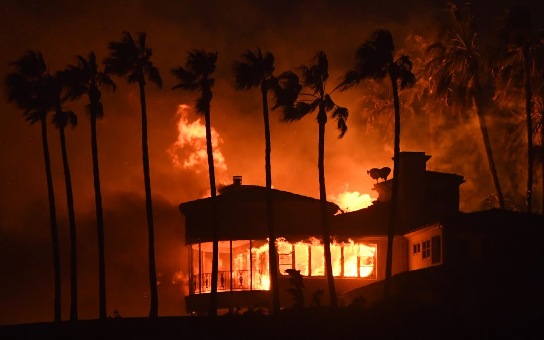 Incendies meurtriers en Californie, conflits au Yémen pour le contrôle de Hodeida : résumé de la semaine